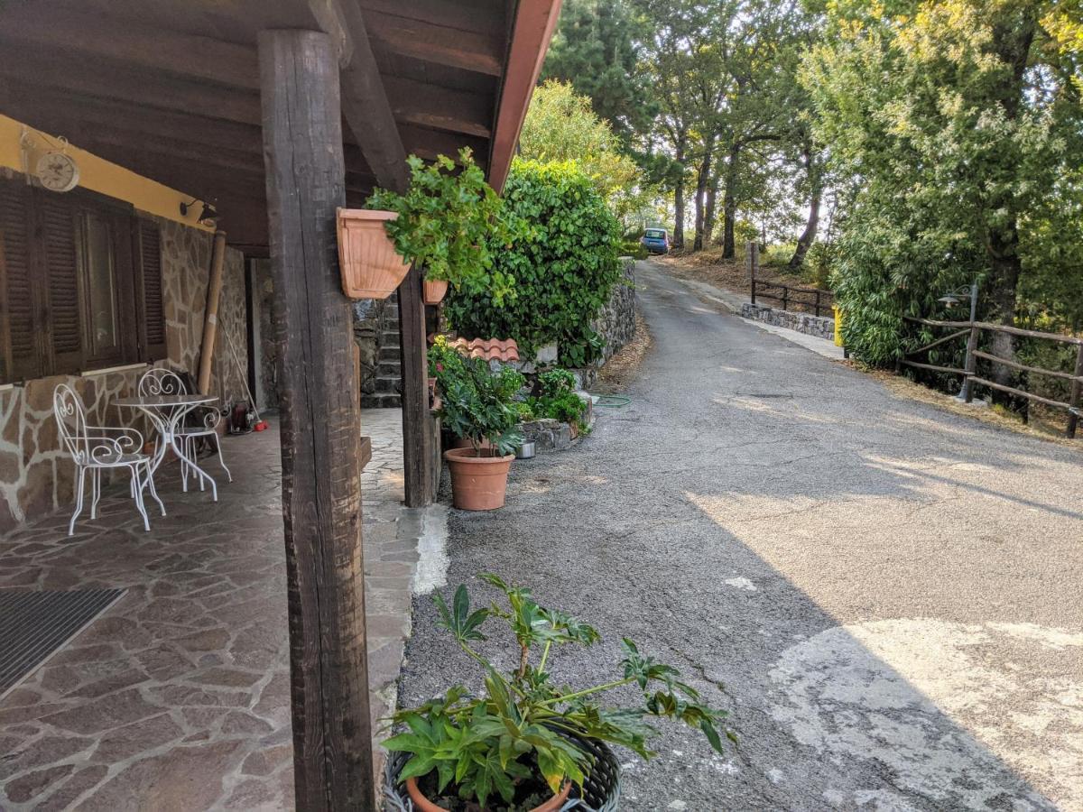Il Rifugio Del Contadino Art & Nature Bosco  Exterior foto